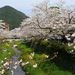 20080404_yamaguchitrip_0021